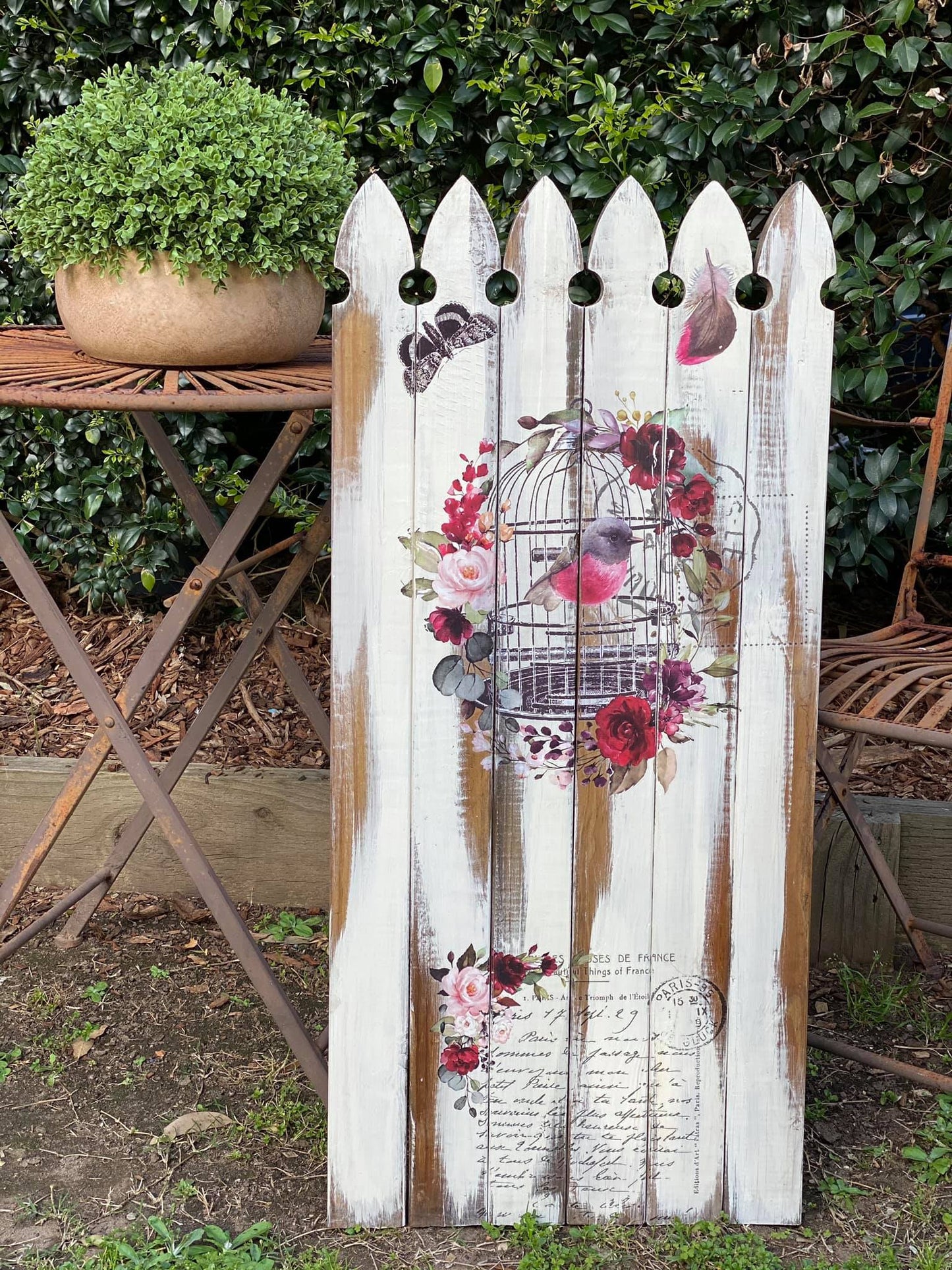 Hokus Pokus - Cage a ' Oiseaux