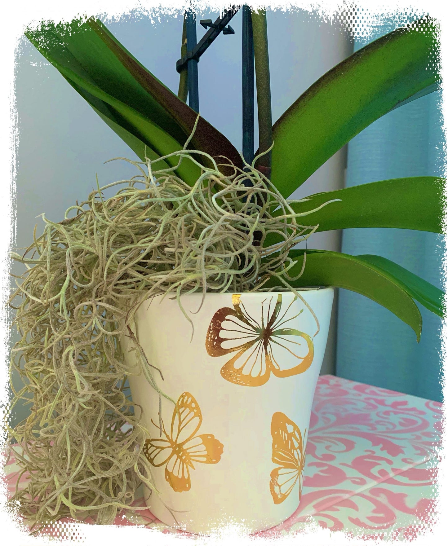 Hokus Pokus - Metallic Gold Foil Accent Butterflies 23x31cm (9x12")