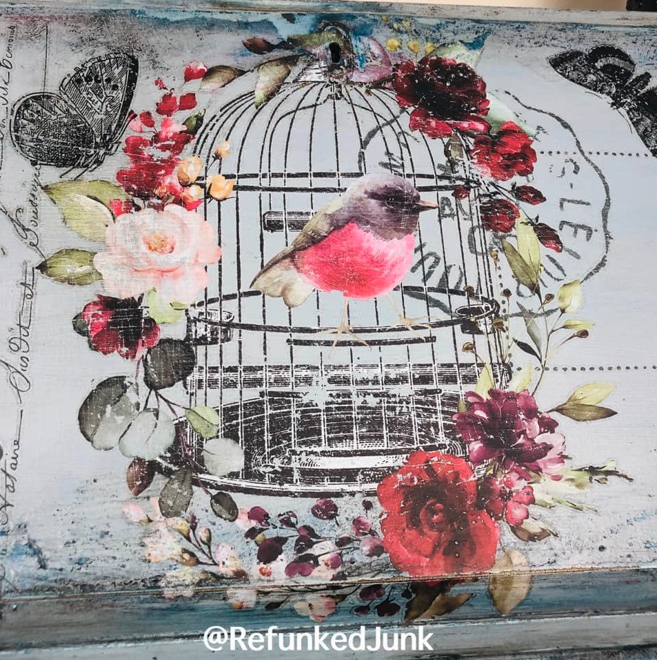 Hokus Pokus - Cage a ' Oiseaux