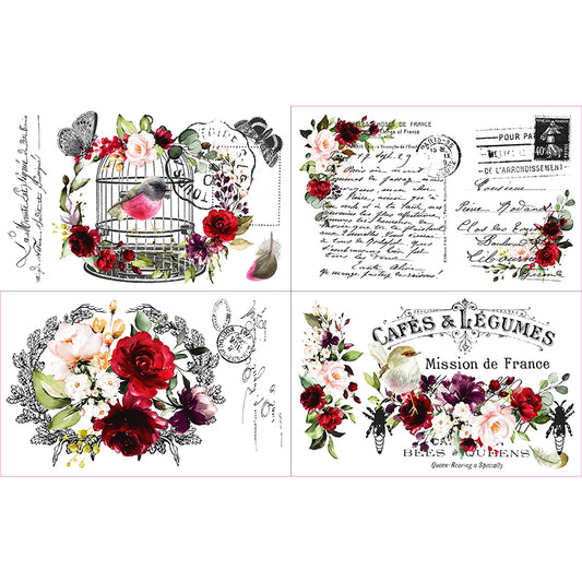 Hokus Pokus - Cage a ' Oiseaux