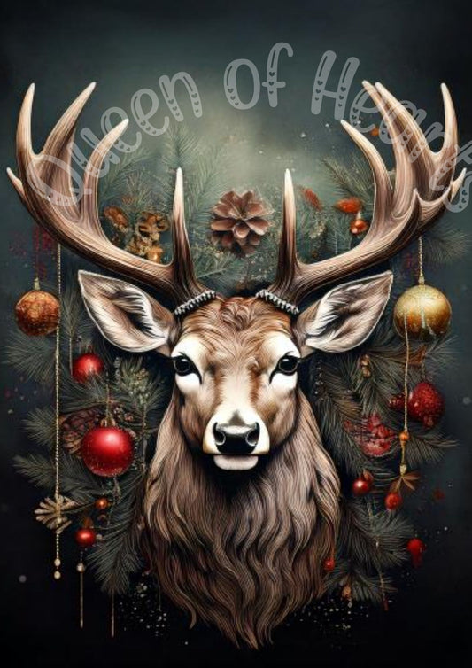 Queen of Hearts  - Christmas Stag 2