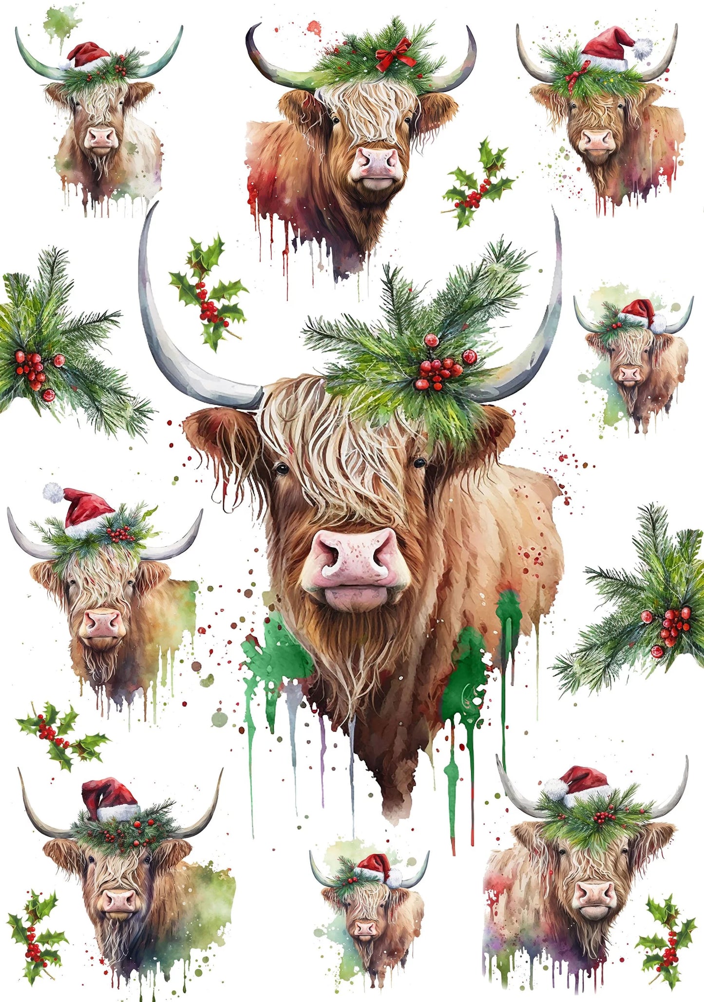 European Excellency - Christmas Highland