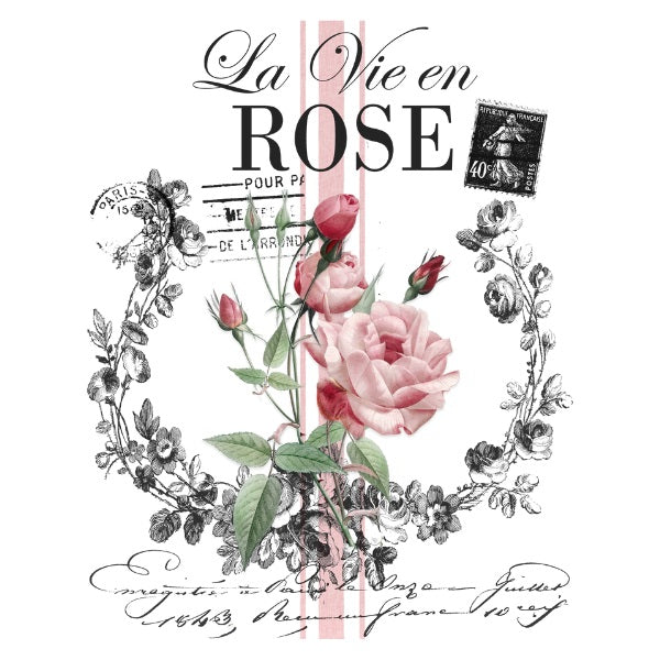 WhiteCloud Transfer - La Vie En Rose