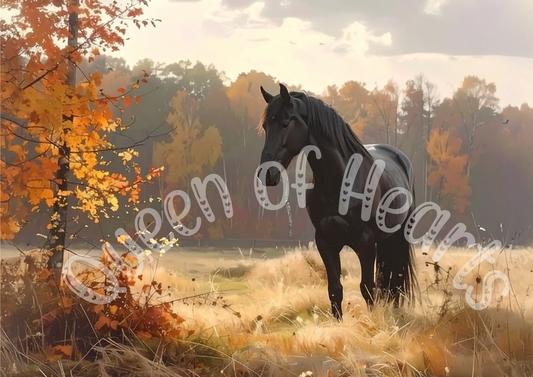Queen of Hearts - Maple