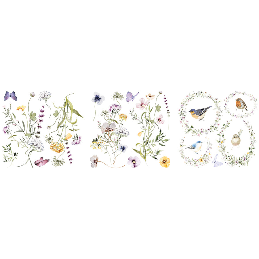 Hokus Pokus - Meadows - Petite Transfer