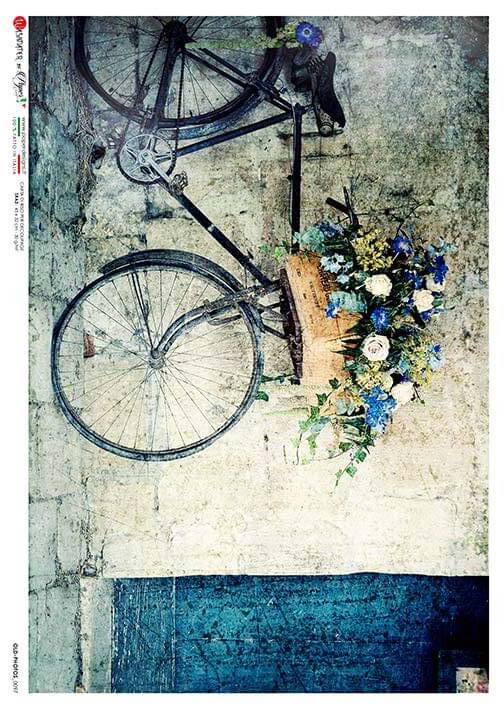 European Excellency - Blue Bicycle