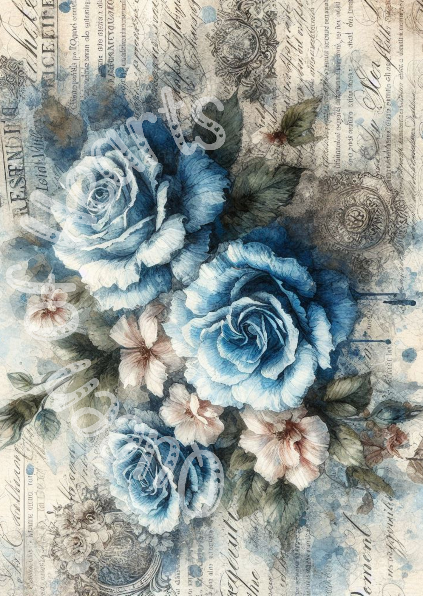 Queen of Hearts - Rose Reverie 6