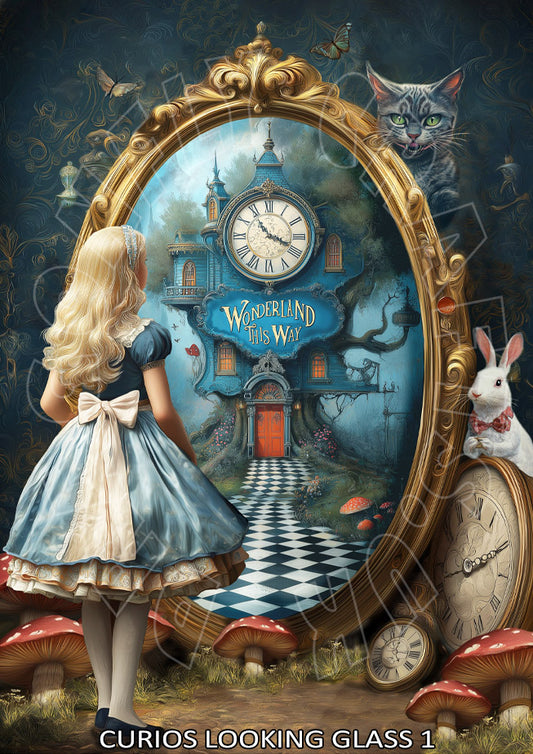 Dragonfly Crafts -      Curios Looking Glass 1