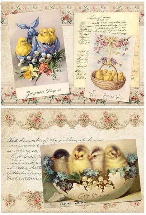 European Excellency - Easter Chicks