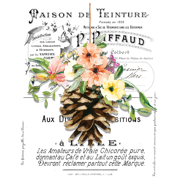 WhiteCloud Transfer - French Pinecone