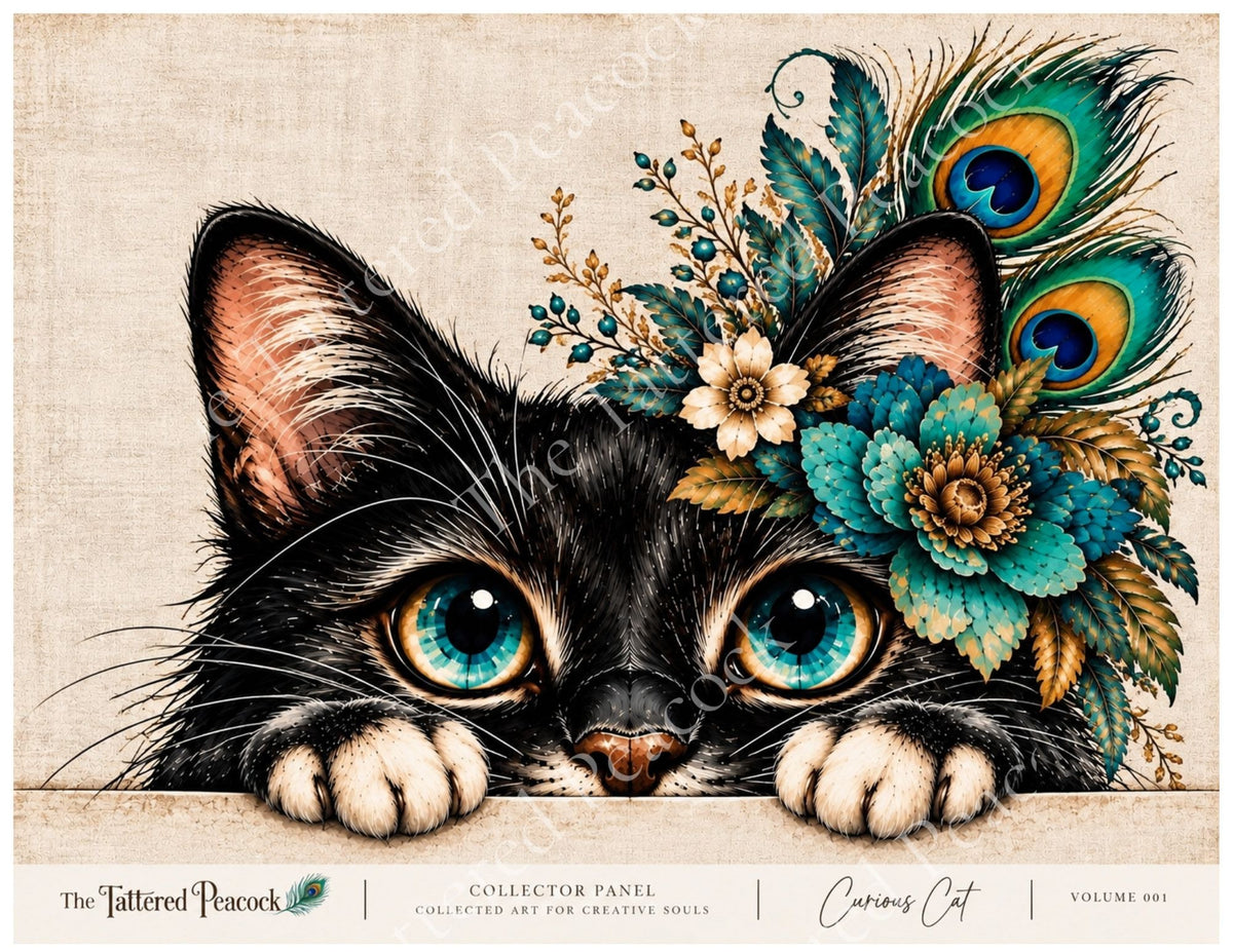 Curious Cat – Floral Black Cat | Cotton Collector Panel