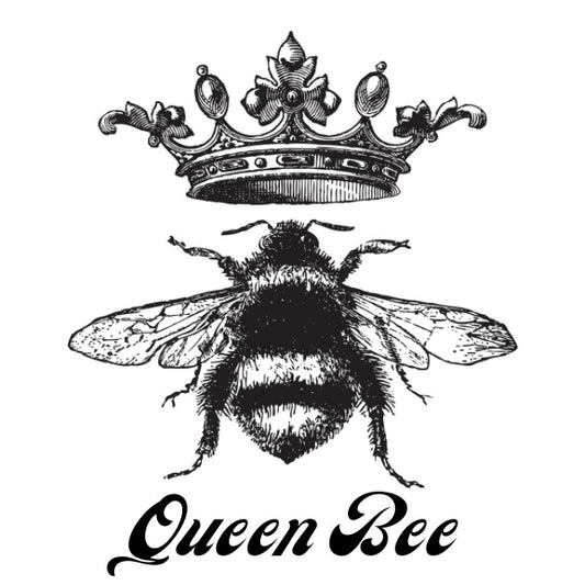 WhiteCloud Transfer - Queen Bee