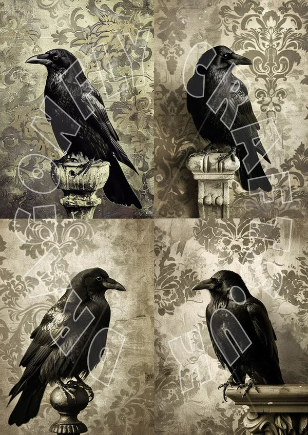 A vintage-style collage of four black crows perched on ornate pedestals against a sepia damask wallpaper background.