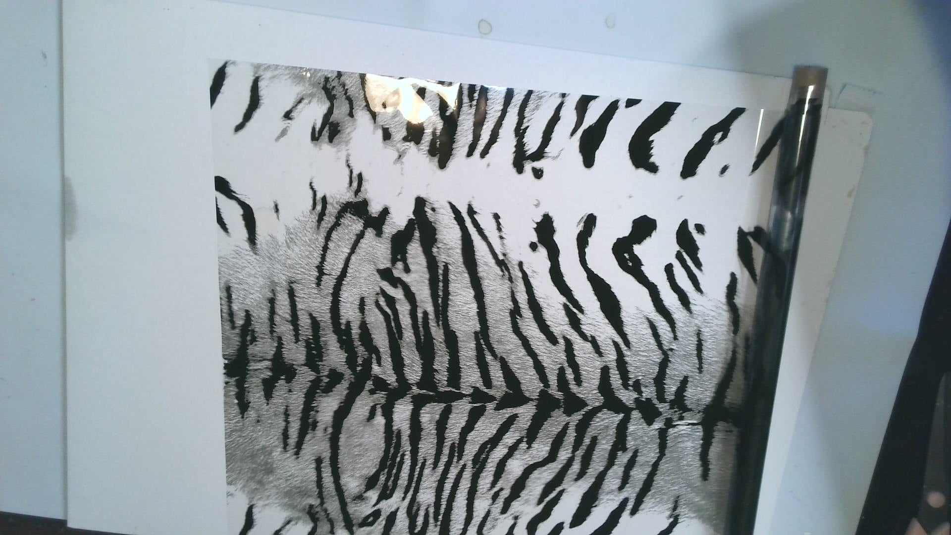 Snow Tiger Foil (transparent)