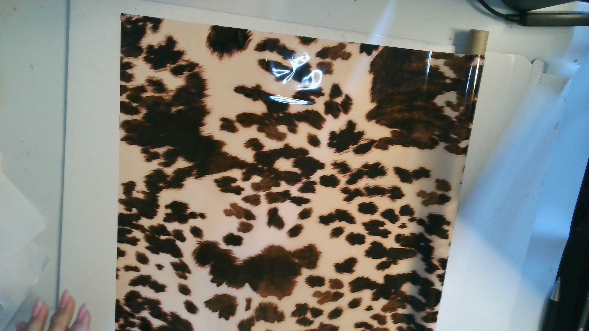 Clarabelle Cow Print Foil